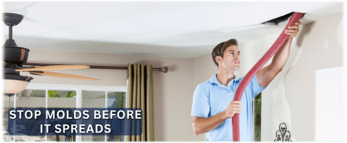 Air Duct Mold Removal in Bowie MD